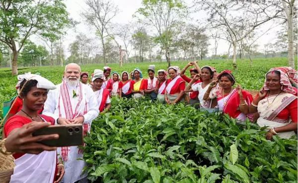 प्रधानमंत्री मोदी ने चाय बागान में समय बिताया-तस्वीरें