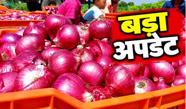 धड़ाम होंगे प्याज के दाम...परेशान लोगों के लिए राहत की खबर आई