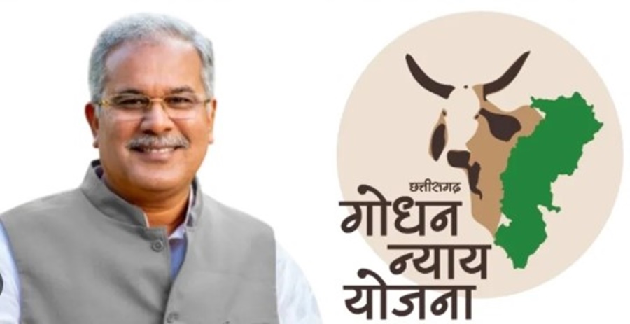 एक बार फिर 'गोधन न्याय योजना' को राष्ट्रीय सम्मान... शनिवार को दिल्ली में होगा आयोजन... सीएम ने कही बड़ी बात
