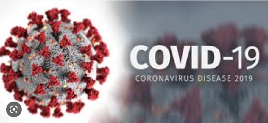 देश के साथ छत्तीसगढ़ में भी... बढ़ने लगे हैं कोरोना के मामले... प्रदेश में 13 नए मामलों की पुष्टि