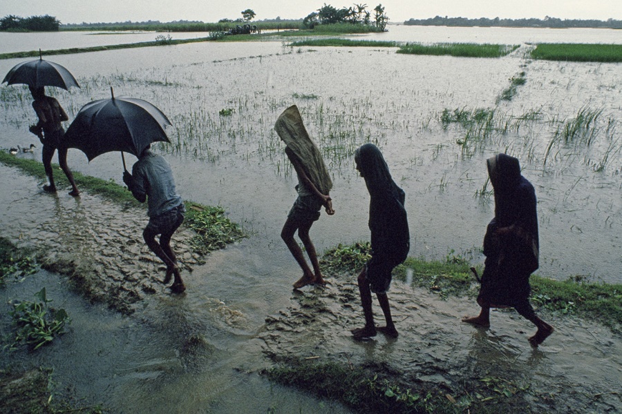 मानसून सक्रिय, राजधानी समेत कई जिलों में बारिश, मौसम विभाग ने जारी किया अलर्ट