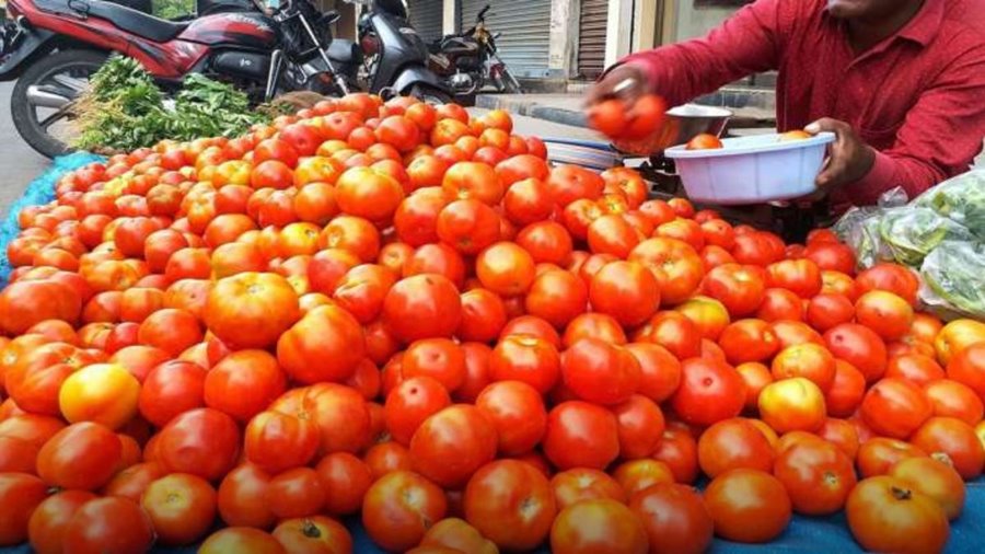 टमाटर की कीमतों में आएगी गिरावट... थोक व्यापारियों ने दिए संकेत... बताया कब ​से मिलेगी राहत