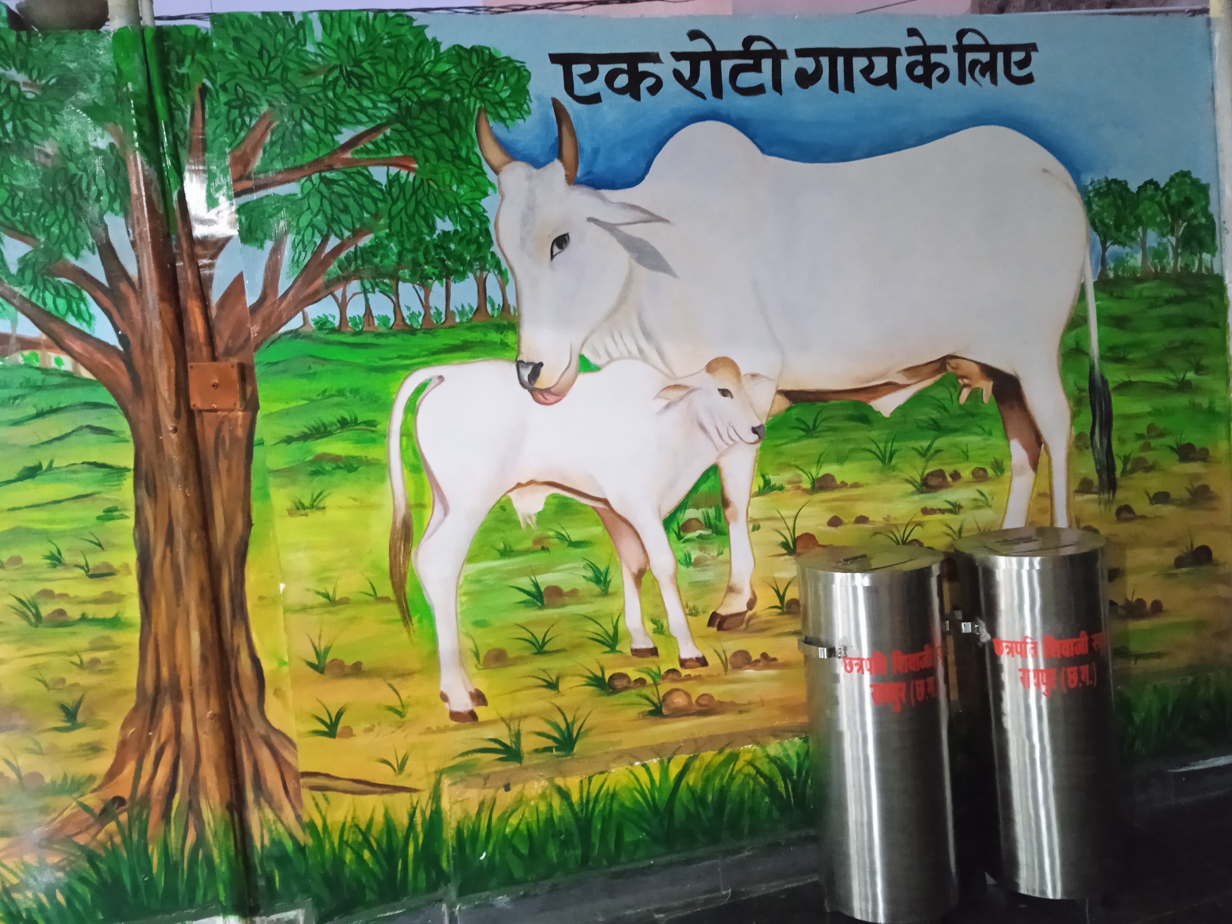 शिवाजी स्कूल की सेवाभावी पहल...  'एक रोटी गाय के लिए' अभियान का शुभारंभ