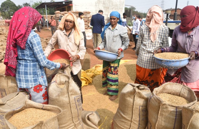किसानों से बायोमेट्रिक व्यवस्था से होगी धान की खरीदी... 125 से 130 लाख मीट्रिक टन धान खरीदी का अनुमान