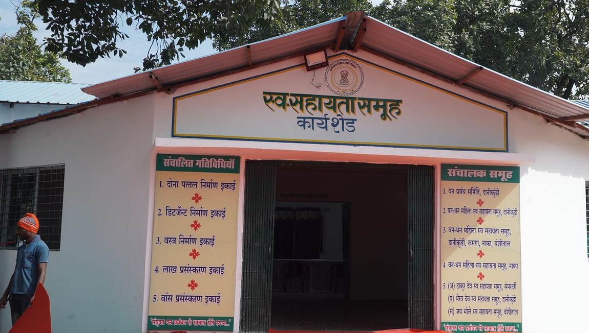 वन विभाग की प्रभावी पहल....सीताफल के मूल्य संवर्धन के लिए दानीकुण्डी में प्रसंस्करण केन्द्र स्थापित