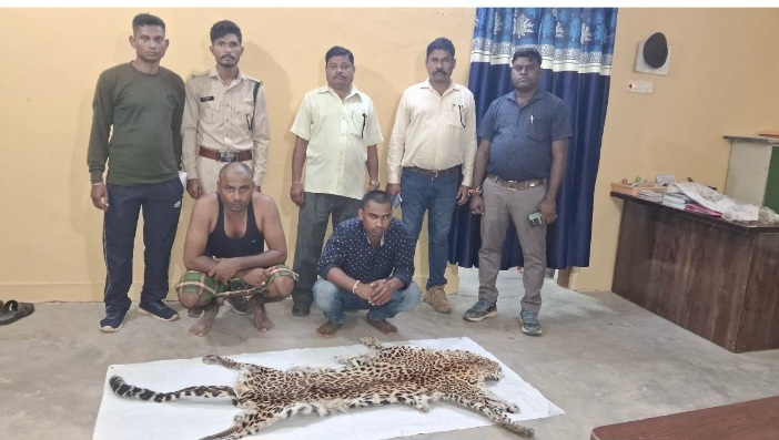 तेंदुए की खाल के साथ दो गिरफ्तार..... उदंती एंटी पोचिंग टीम और गरियाबंद पुलिस की कार्यवाही