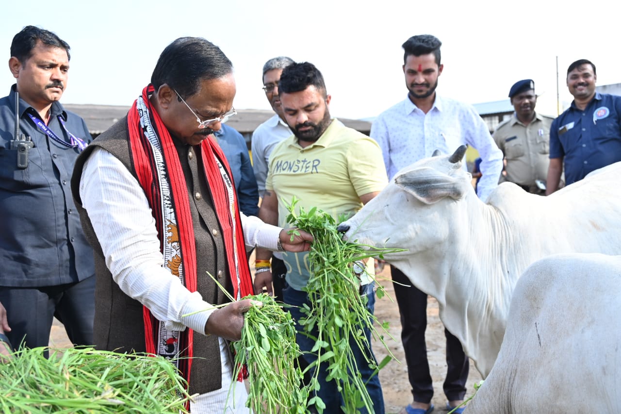 कृषि मंत्री पहुंचे उज्जवला गोशाला... कहा- गो तस्कर और गो हत्यारों पर होगी सख्त कार्रवाई