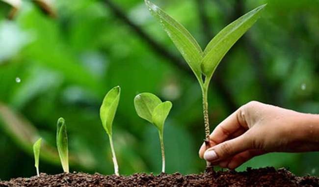 महावृक्षारोपण अभियान : मार्च 2025 तक 140 करोड़ वृक्षों का रोपण किया जाएगा