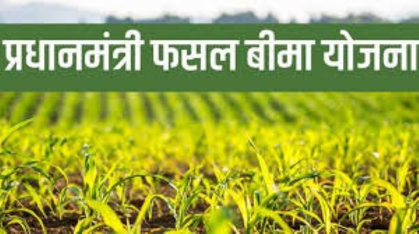 प्रधानमंत्री फसल बीमा योजना : खरीफ फसलों का बीमा कराने की अंतिम तिथि 31 जुलाई