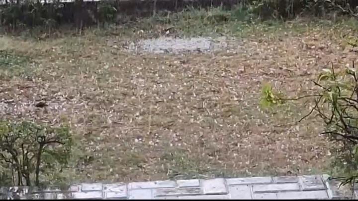 देखें वीडियो..... राजधानी का मौसम बदला... कई इलाकों में गिरे ओले.. चली राहत भरी हवाएं