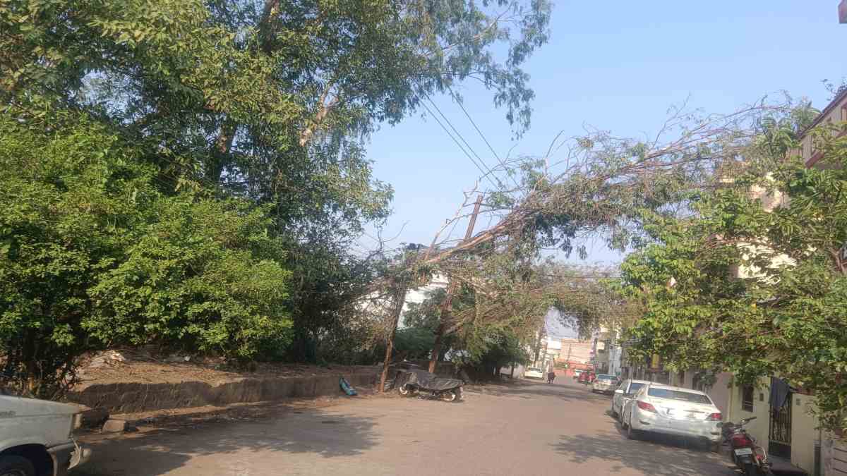 नगर निगम-विद्युत विभाग की व्यवस्था की खुली पोल : अब तक नहीं हटाए गए आंधी से टूटे पेड़, रायपुर के कई इलाकों में 24 घंटे से बिजली बंद, घरों में पानी भी नहीं पहुंचा