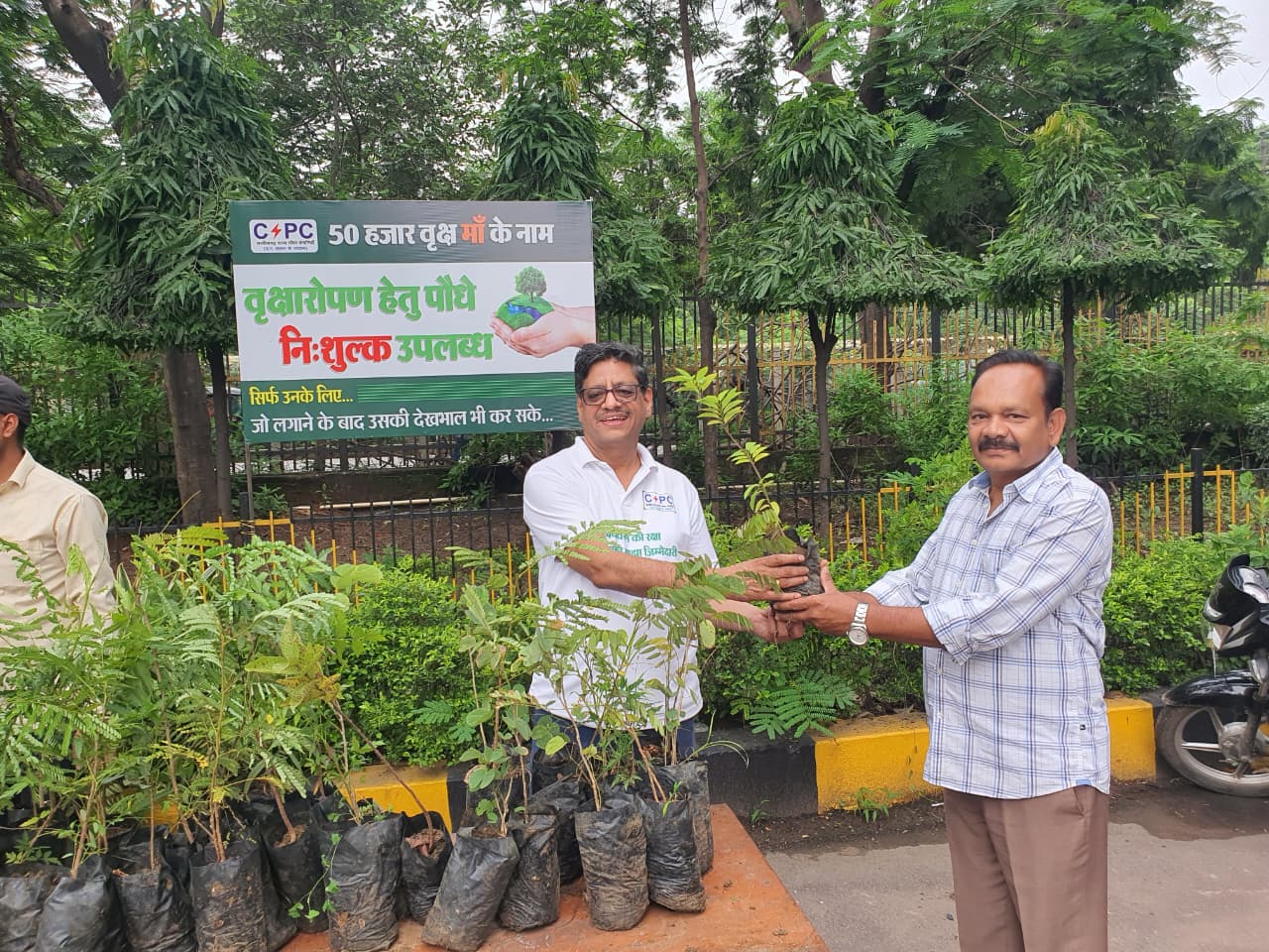 पॉवर कंपनी के पौधरोपण महोत्सव.... अधिकारी-कर्मचारी अपने आवास और आसपास लगे रहे पौधे