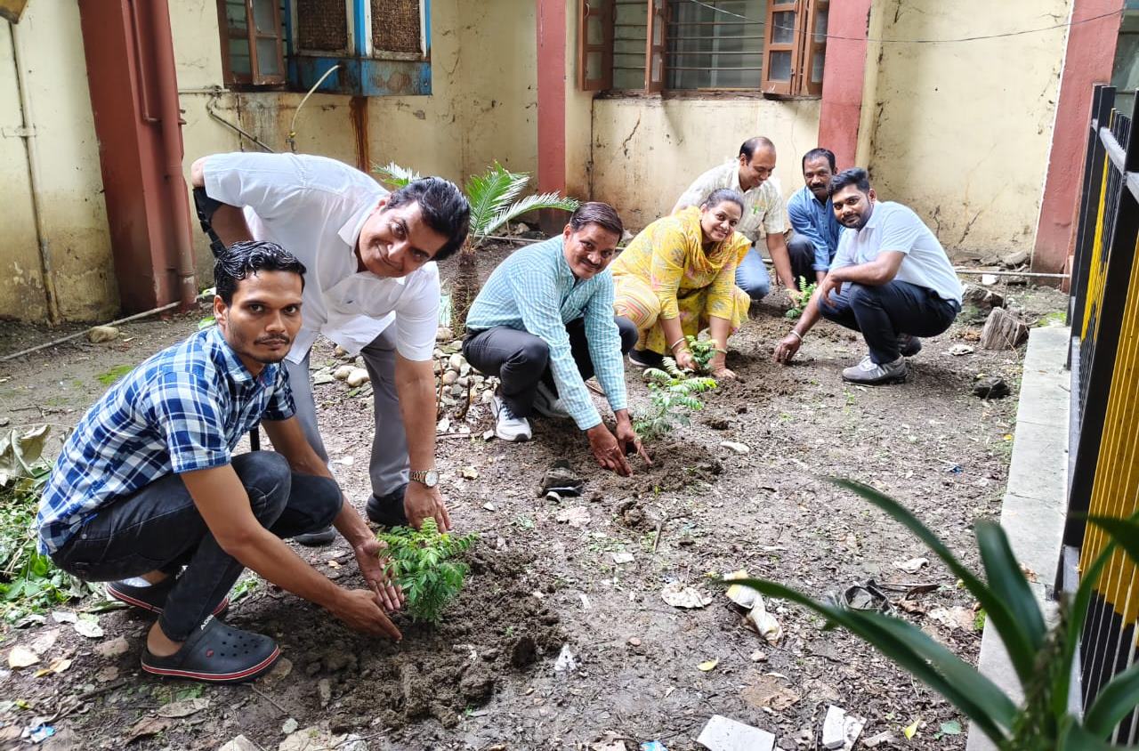  बिजली कंपनी जनसंपर्क कार्यालय में मीठी नीम की बगिया, पौधरोपण संपन्न