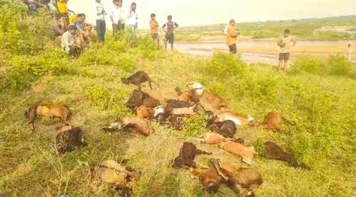 आकाशीय बिजली गिरने से 27 मवेशियों की मौत