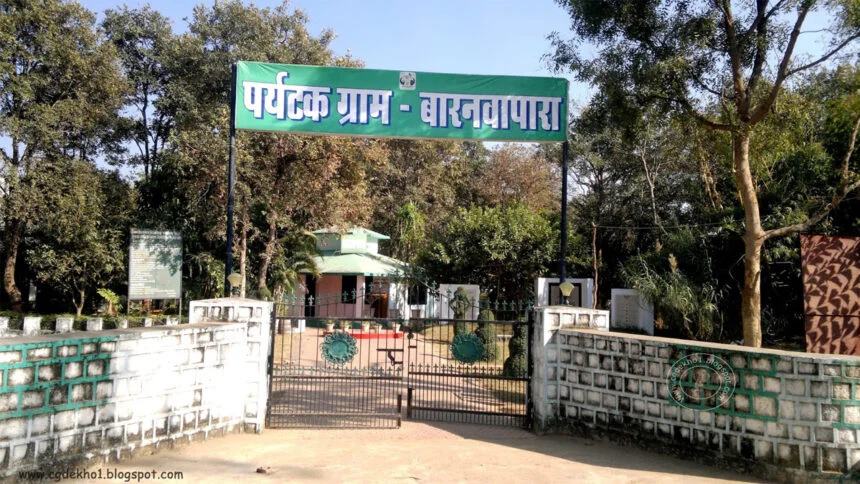 बारनवापारा में बटरफ्लाई एंड मॉथ सर्वे... तितली और पतंगों को समझने का मिलेगा अवसर