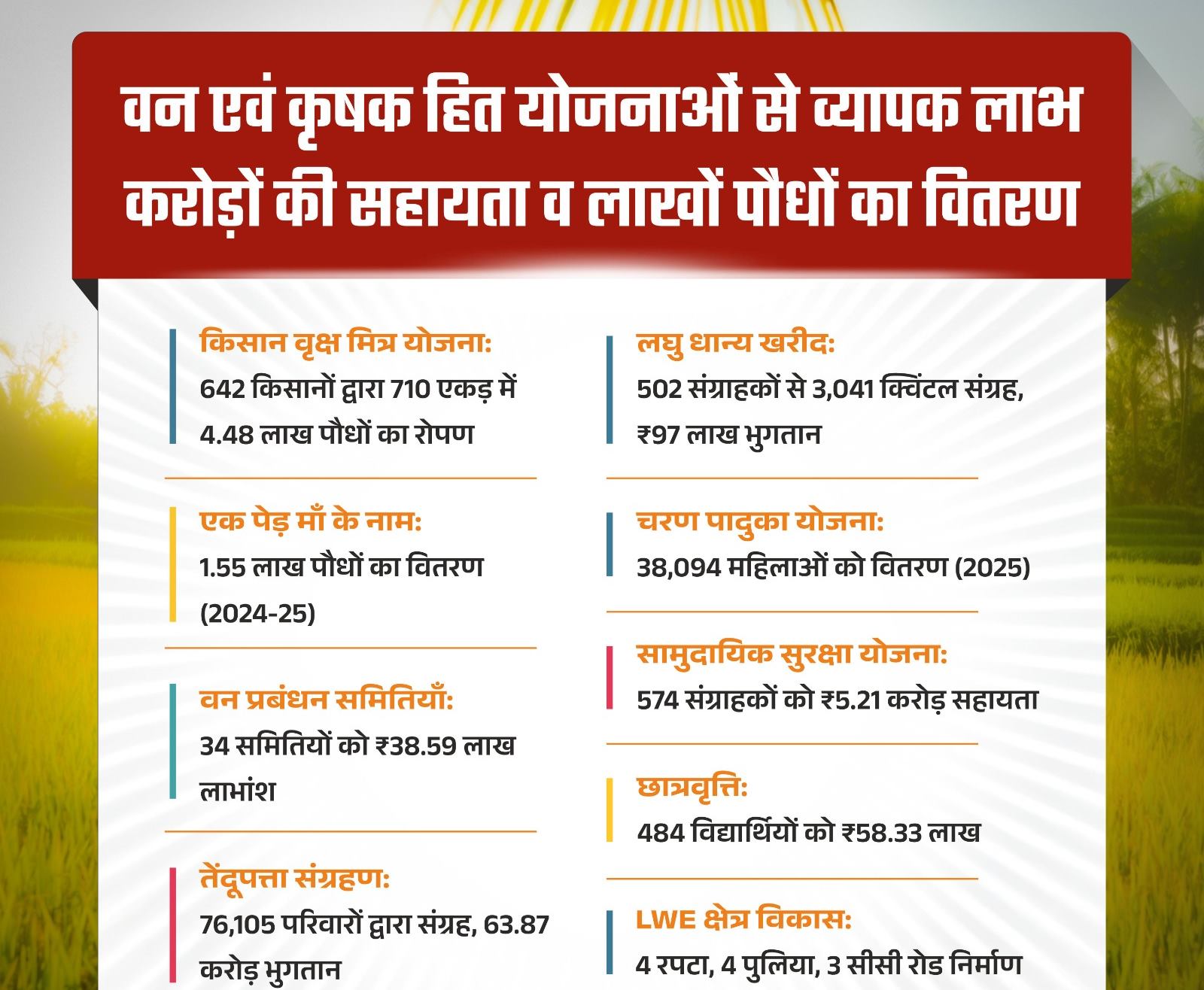  हरियाली से आर्थिक रूप से सशक्त हुए मोहला जिले के ग्रामीण