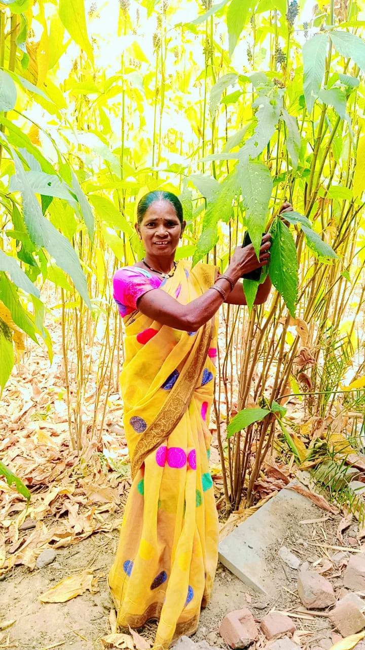 स्व-सहायता समूह से जुड़कर लखपति दीदी बनी कांतिबाई