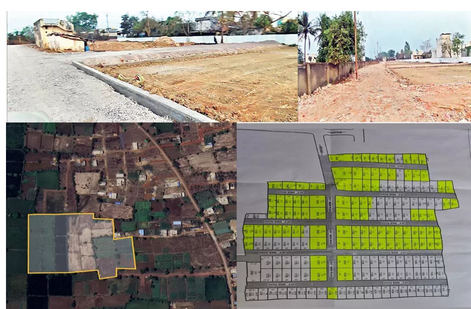 भाठागांव में अवैध प्लांटिंग, भू-माफिया सक्रिय