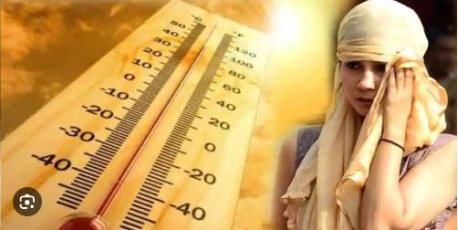 छत्तीसगढ़ में गरमी हुई जानलेवा, कहीं गरमी से गिर रहे पक्षी, तो कहीं हो रही चमगादड़ों की मौत, इस बार रिकॉर्ड तोड़ गरमी
