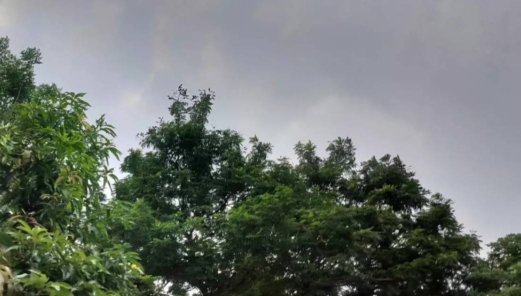 छत्तीसगढ़ सहित 9 राज्यों में धूल भरी आंधी-तूफान और बारिश की चेतावनी