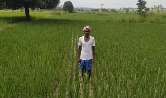 खगपति ने बदला खेती का तरीका, पारंपरिक से आधुनिक कृषि अपनाकर की अपनी आय दोगुनी
