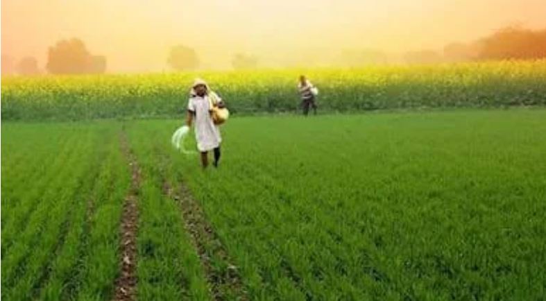 इस यूरिया से बदली सब्जी की खेती की तस्वीर, किसान सम्मेलाल बने आत्मनिर्भरता की मिसाल&hellip;