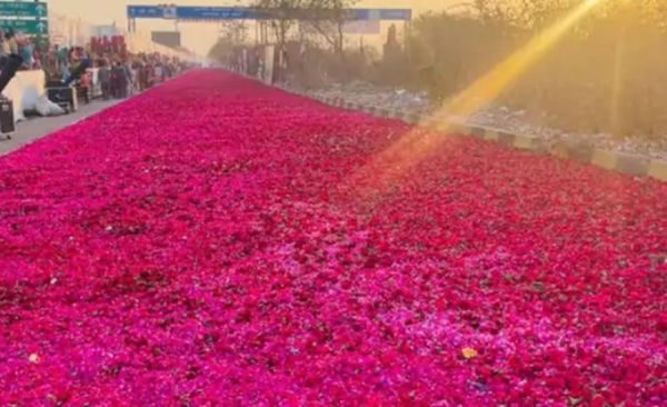 2 किमी का सफर... 6 हजार किलो गुलाब के फूल... कालीन के मानिंद नजर आई सड़क