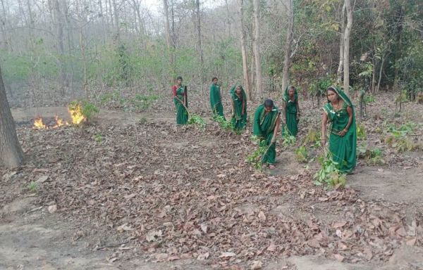 जंगल को आग की लपटों से बचाने महिलाओं ने पेश की मिसाल, स्वयं आई आगे