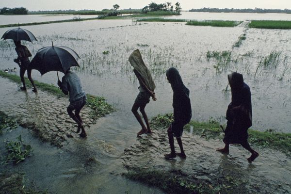मानसून सक्रिय, राजधानी समेत कई जिलों में बारिश, मौसम विभाग ने जारी किया अलर्ट