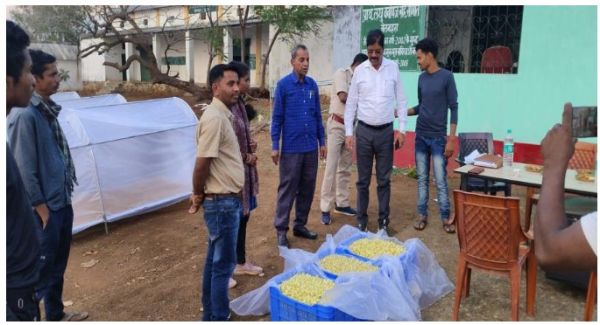 छत्तीसगढ़ के महुआ की महक पहुंचने लगी देश-विदेश तक, मिल रहा अतिरिक्त मुनाफा और रोजगार