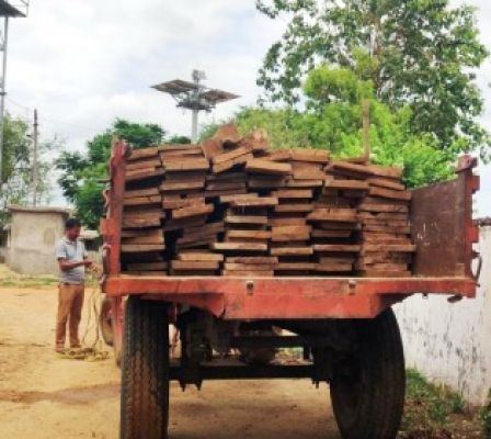  लगभग सवा लाख रूपए मूल्य के 114 नग सागौन चिरान जब्त