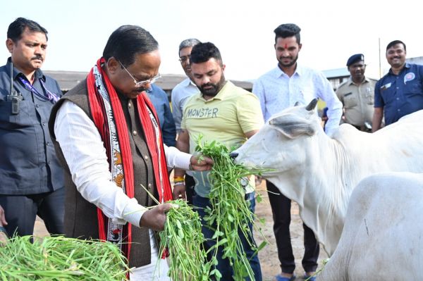 कृषि मंत्री पहुंचे उज्जवला गोशाला... कहा- गो तस्कर और गो हत्यारों पर होगी सख्त कार्रवाई