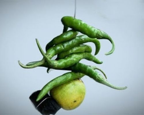 राजनांदगांव का अजब प्रत्याशी नींबू-मिर्च की माला पहनकर पंहुचा नामांकन पत्र भरने....
