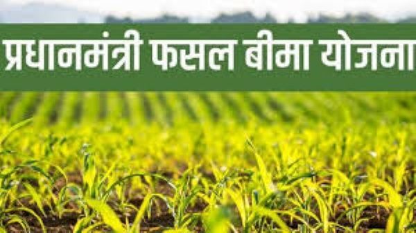प्रधानमंत्री फसल बीमा योजना : खरीफ फसलों का बीमा कराने की अंतिम तिथि 31 जुलाई