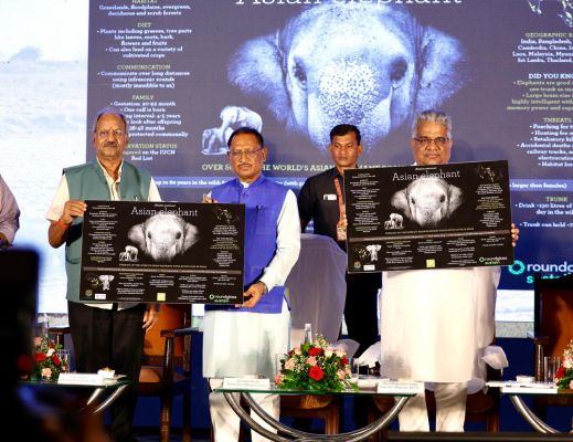 हाथी-मानव द्वंद कम करने के लिए केंद्र की प्राथमिकता में छत्तीसगढ़ः भूपेंद्र यादव
