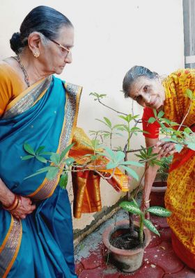  'सहयोग' ने रोचक खेलों के साथ मनाया तीज महोत्सव, बुजुर्गों ने किया पौधारोपण
