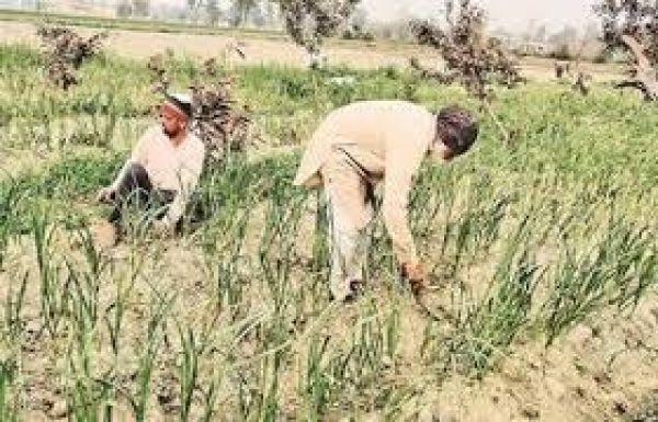 रायपुर में दो दिवसीय राष्ट्रीय बैठक में कृषि तनाव प्रबंधन पर तैयार होगी नीति