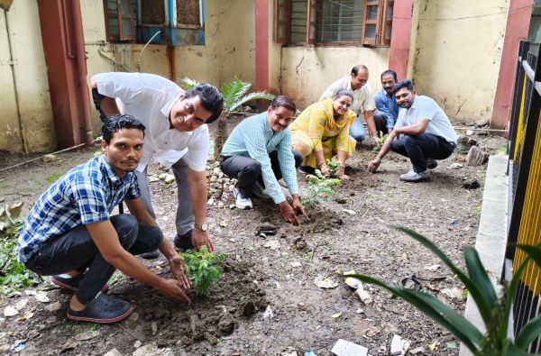  बिजली कंपनी जनसंपर्क कार्यालय में मीठी नीम की बगिया, पौधरोपण संपन्न