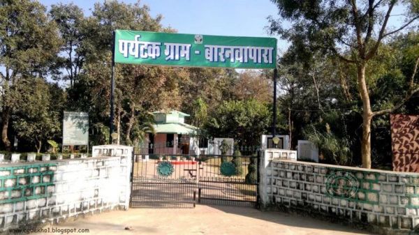 बारनवापारा में बटरफ्लाई एंड मॉथ सर्वे... तितली और पतंगों को समझने का मिलेगा अवसर