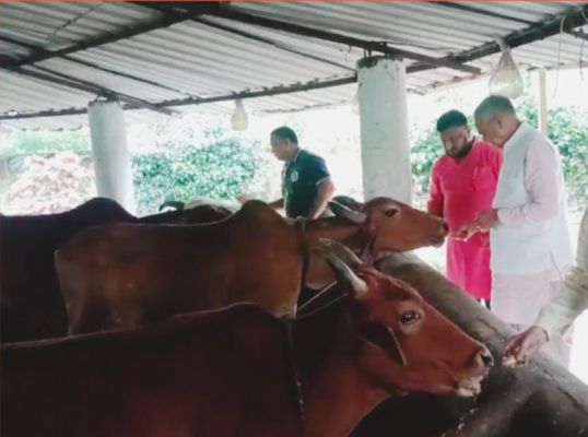 गोपाष्टमी पर योग आयोग अध्यक्ष रूपनारायण सिन्हा पहुंचे हथबंद गौशाला