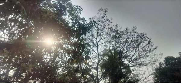 छत्तीसगढ़ के मौसम में विशेष परिवर्तन के आसार नहीं