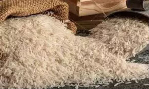 चावल उत्सव 20 फरवरी से, खाद्य विभाग ने दी जानकारी