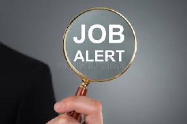  स्कूल शिक्षा विभाग द्वारा 5000 पदों पर भर्ती का विज्ञापन किया जाएगा जारी