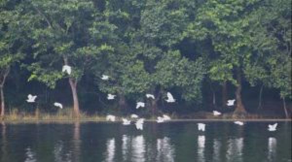 सिद्धबाबा जलाशय एवं टोहेमेटा एनीकट निर्माण कार्य के लिए 8.54 करोड़ रुपए स्वीकृत