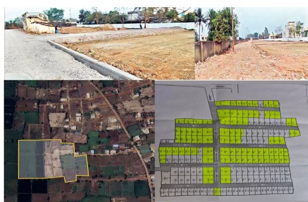 भाठागांव में अवैध प्लांटिंग, भू-माफिया सक्रिय