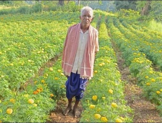 धान से फूलों तक: आनंदराम सिदार की मेहनत ने बदली किस्मत, 22 हजार से 3 लाख तक का सफर