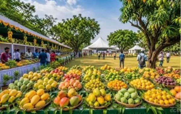  250 से ज्यादा आम की किस्में होंगी प्रदर्शित, राज्यपाल करेंगे उद्घाटन&hellip;