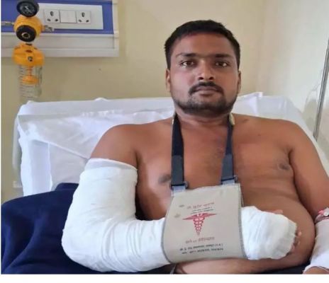मुकुट नगर में आवारा पशुओं का आतंक, सांड के हमले में युवक घायल