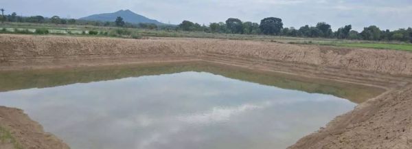 बारिश के साथ दिखने लगा &lsquo;मोर गांव-मोर पानी&rsquo; अभियान का असर