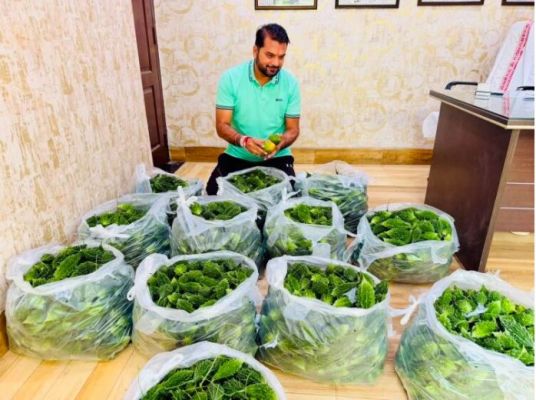 तीजा पर 1000 घरों में पहुंचा करेला, आकाश तिवारी ने निभाई 7 साल पुरानी परंपरा